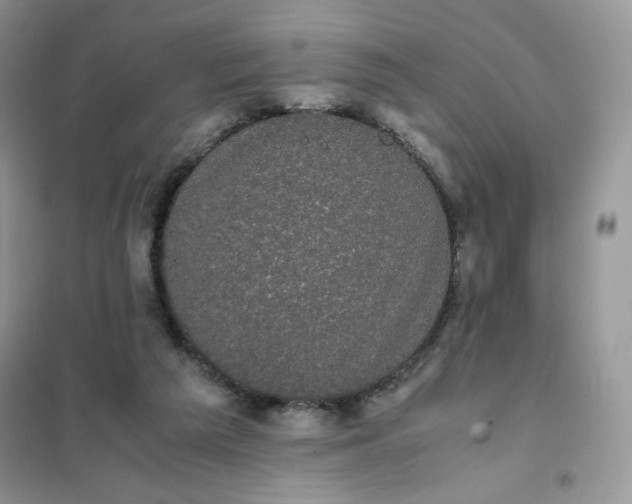 X0000102030209200808011455