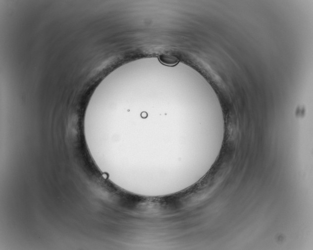 X0000102030211200808011455