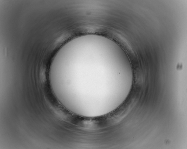 X0000102030216200808011455