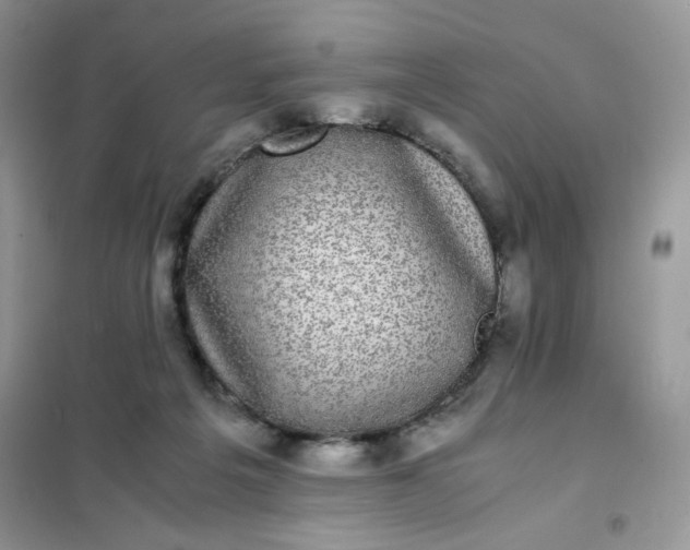 X0000102030217200808011455