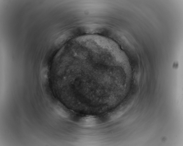 X0000102030219200808011455