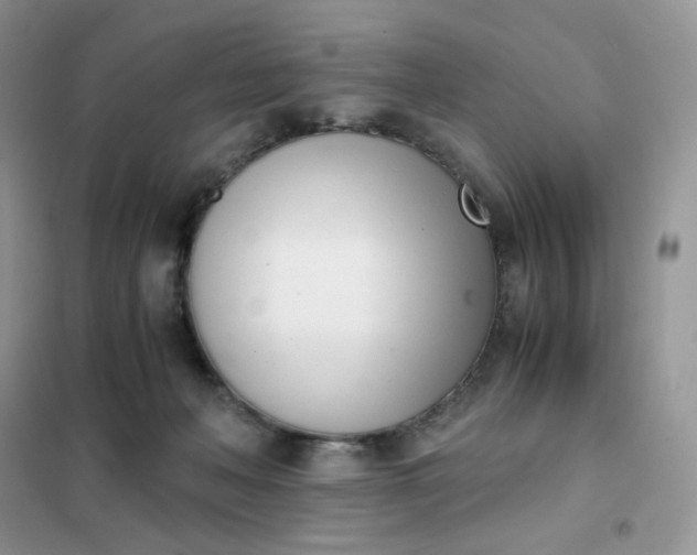 X0000102030222200808011455