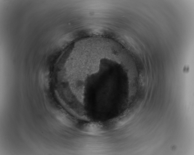 X0000102030223200808011455