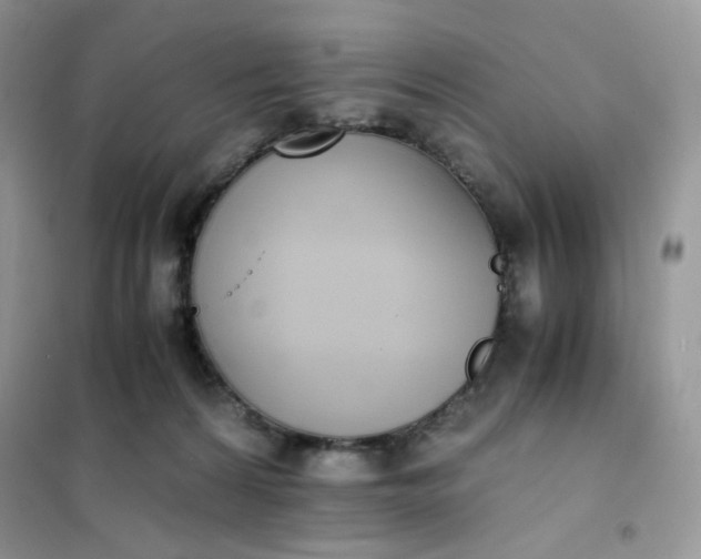 X0000102030224200808011455