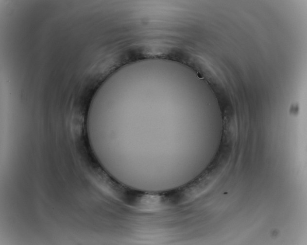 X0000102030227200808011455