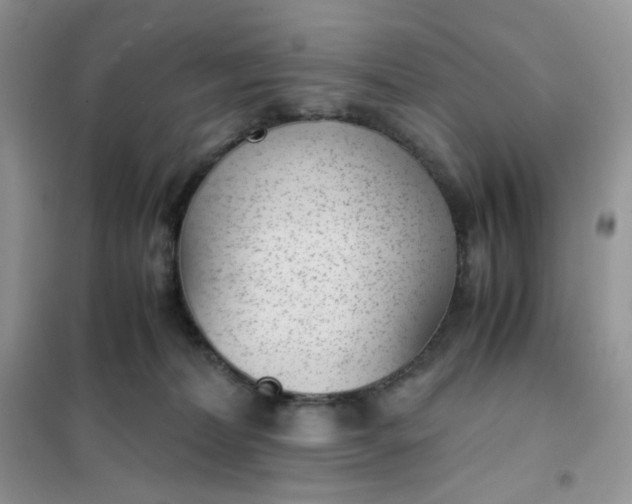 X0000102030228200808011455