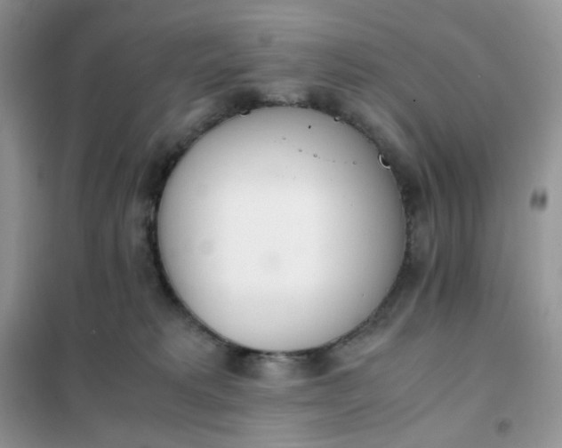 X0000102030229200808011455