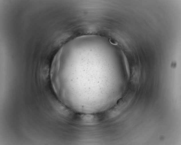 X0000102030230200808011455