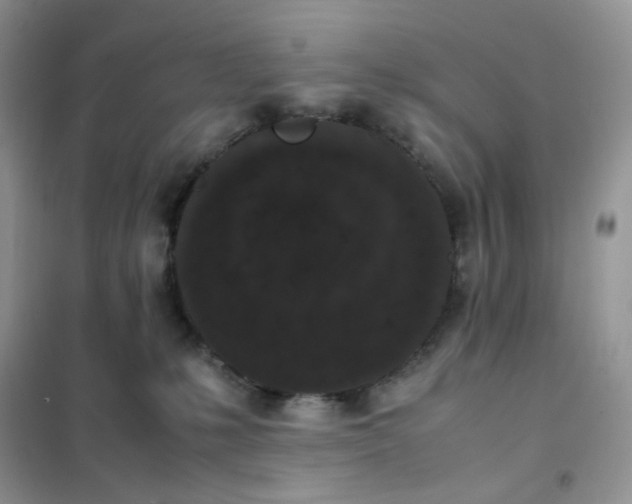 X0000102030231200808011455