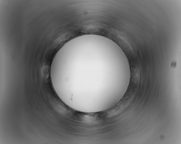 X0000102030232200808011455