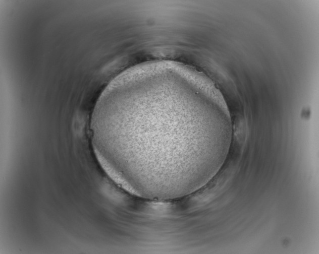 X0000102030233200808011455