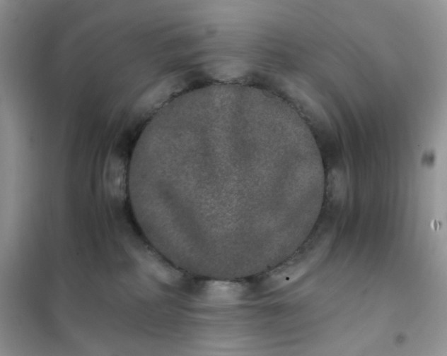 X0000102030234200808011455