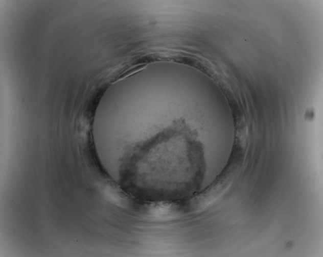 X0000102030235200808011455