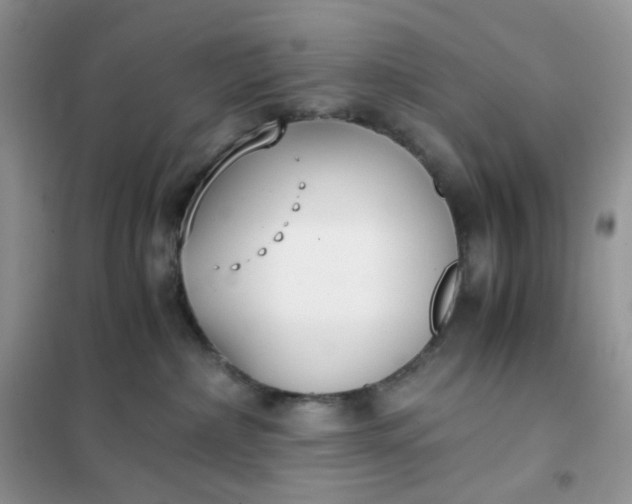 X0000102030236200808011455