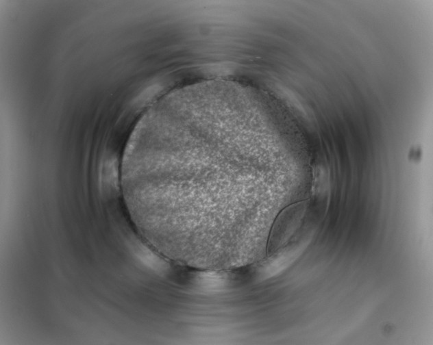 X0000102030238200808011455