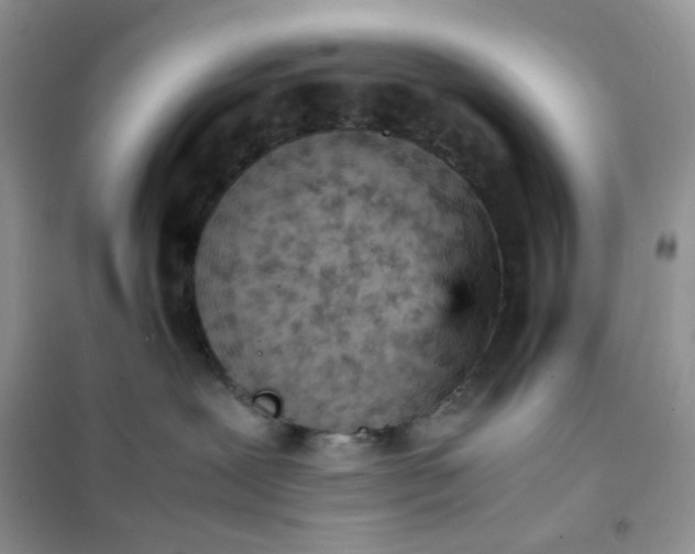 X0000102030239200808011455