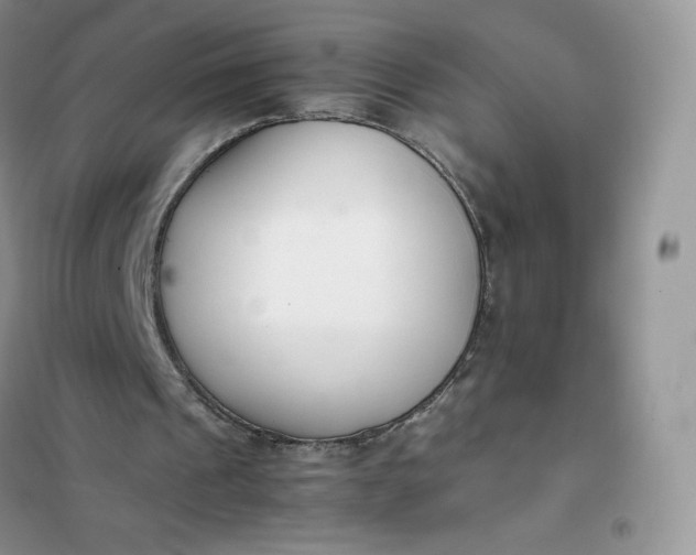 X0000102030241200808011454