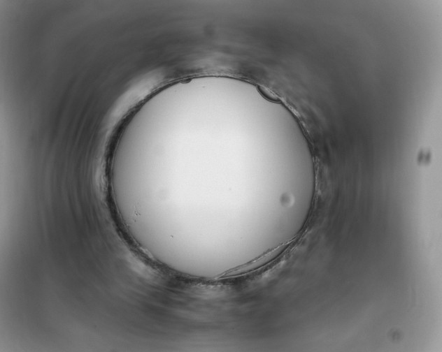 X0000102030245200808011454