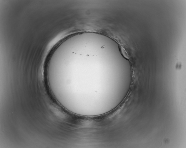 X0000102030246200808011454