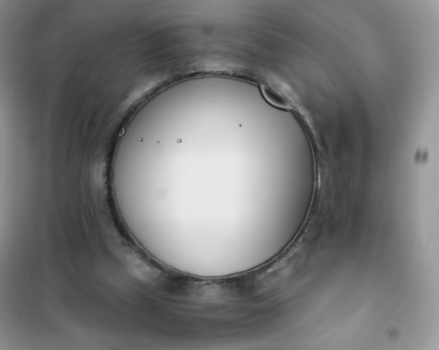 X0000102030249200808011454