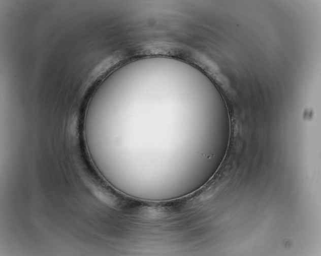 X0000102030250200808011454