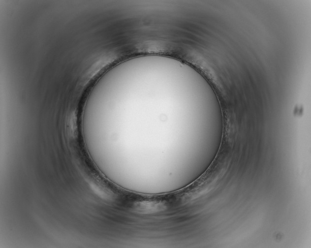 X0000102030251200808011454