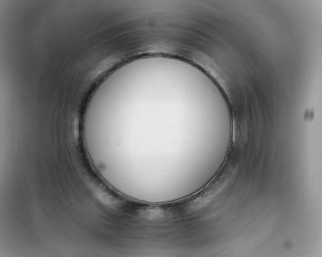 X0000102030253200808011454