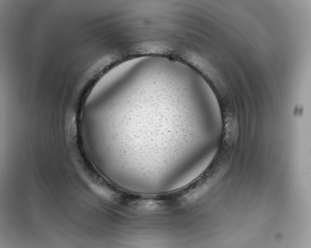 X0000102030254200808011454