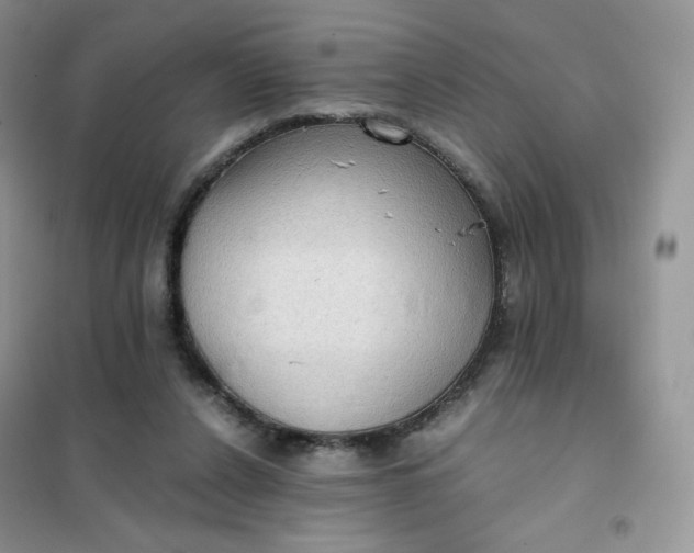 X0000102030256200808011454