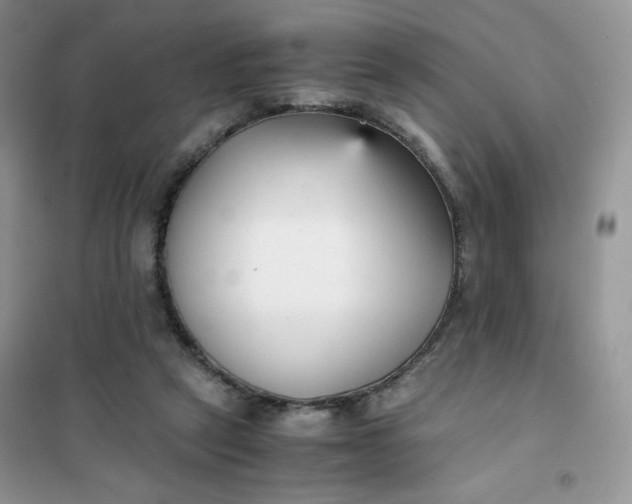 X0000102030257200808011454