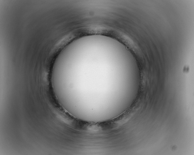 X0000102030258200808011454