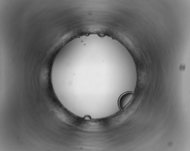 X0000102030260200808011454