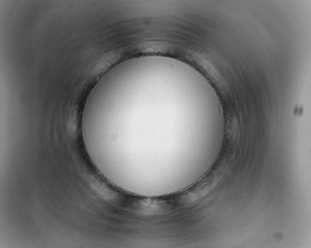 X0000102030261200808011454