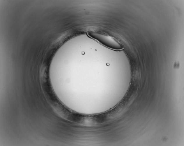 X0000102030264200808011454