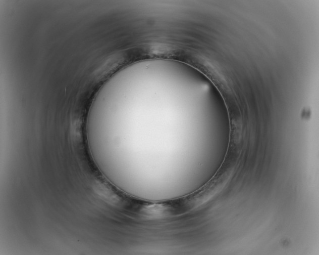 X0000102030269200808011454