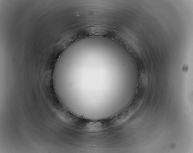 X0000102030271200808011454