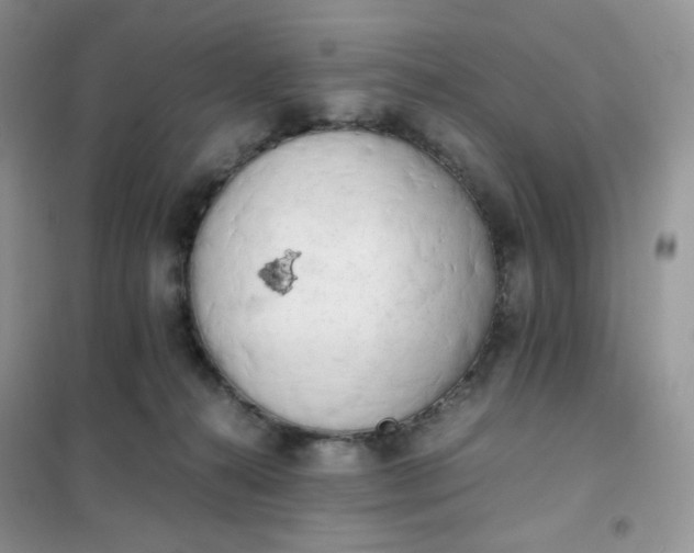 X0000102030272200808011454