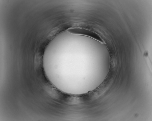 X0000102030276200808011454