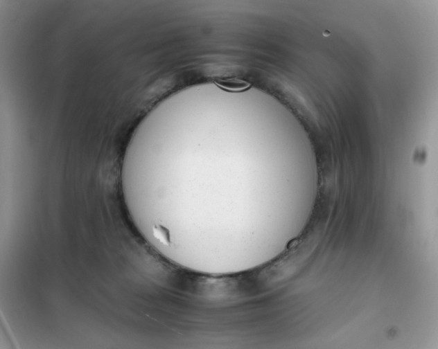 X0000102030277200808011454