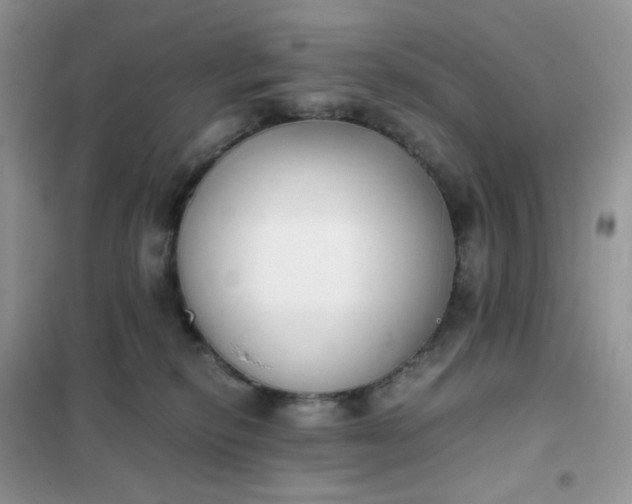 X0000102030278200808011454