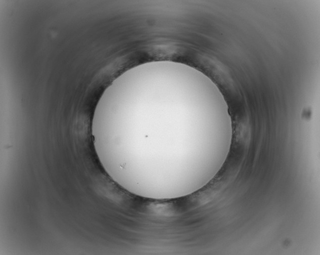 X0000102030283200808011454