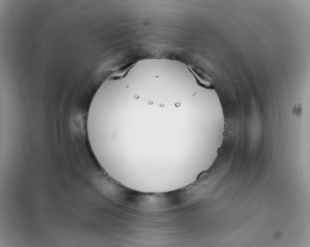 X0000102030286200808011455