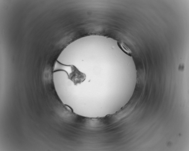 X0000102030287200808011455