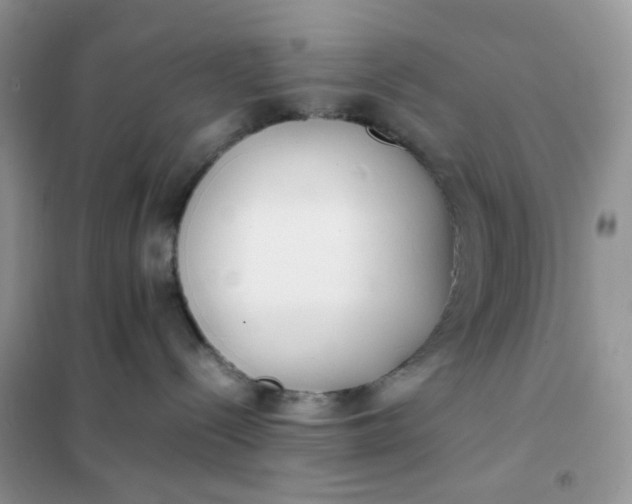 X0000102030288200808011455