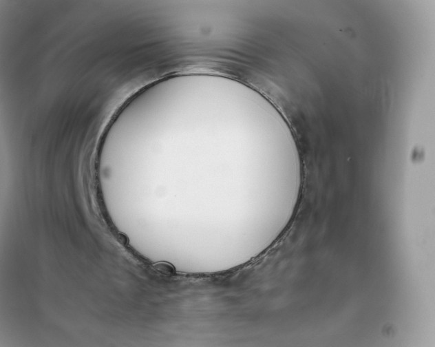 X0000102030289200808011454