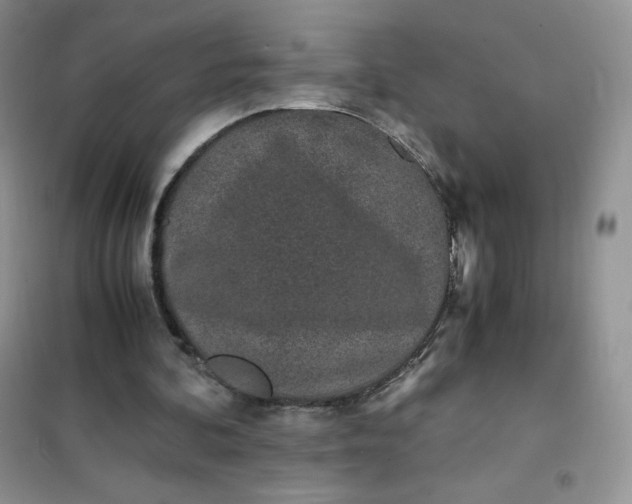 X0000102030292200808011454