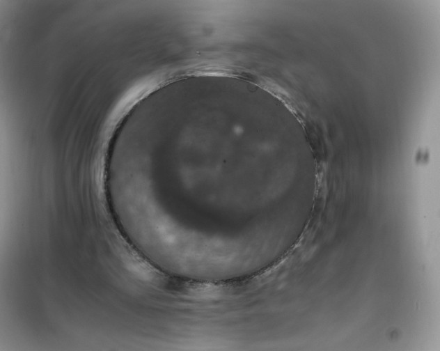 X0000102030293200808011454