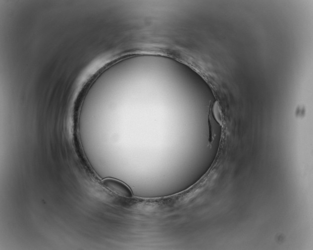 X0000102030294200808011454