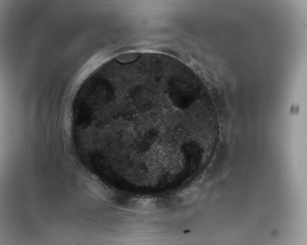 X0000102030295200808011454