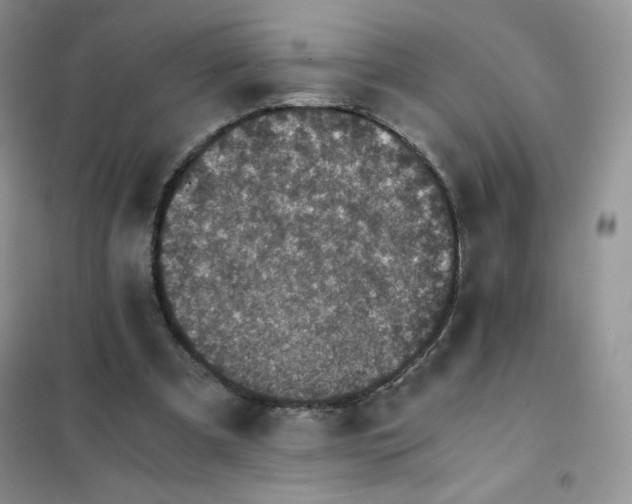 X0000102030297200808011454